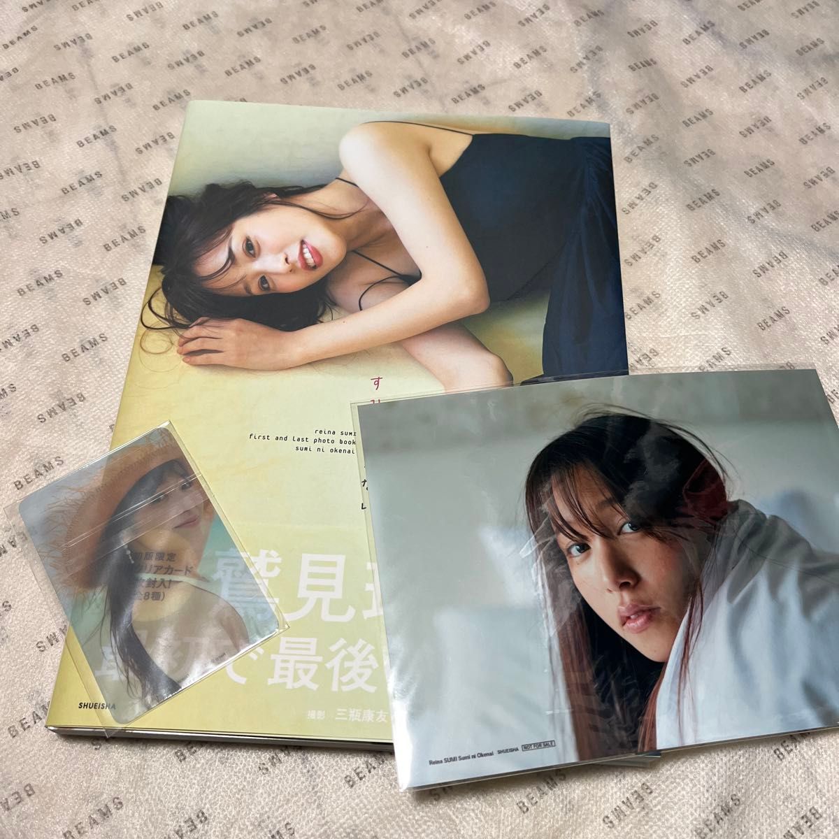 写真集 鷲見玲奈 すみにおけない ファースト&ラスト写真集 写真集 鷲見玲奈 すみにおけない ファースト&ラスト写真集