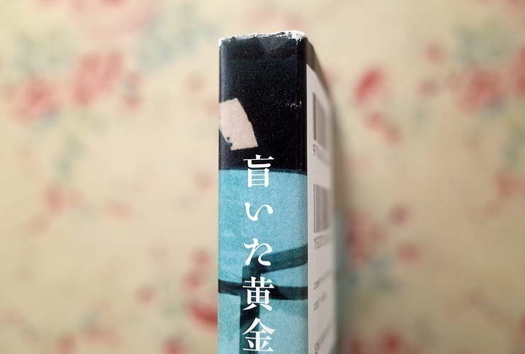 14411/盲いた黄金の庭 吉増剛造 写真集 2010年 初版 岩波書店 未知の世界像を追い求める吉増剛造決定版写真集_画像9