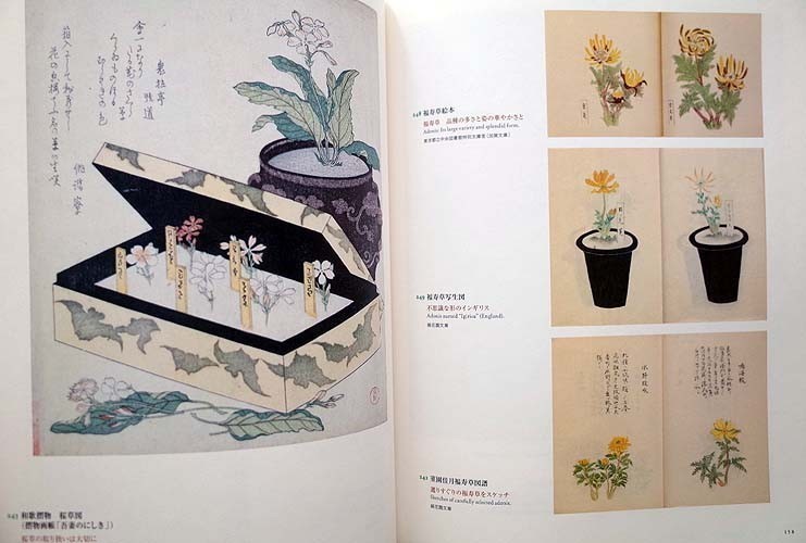 50102/図録 花開く江戸の園芸 江戸東京博物館 開館20周年記念特別展 2013年 国芳 国貞 春信 礒田湖龍斎 喜多川歌麿 溪斎英泉 鳥居清長 北斎_画像9