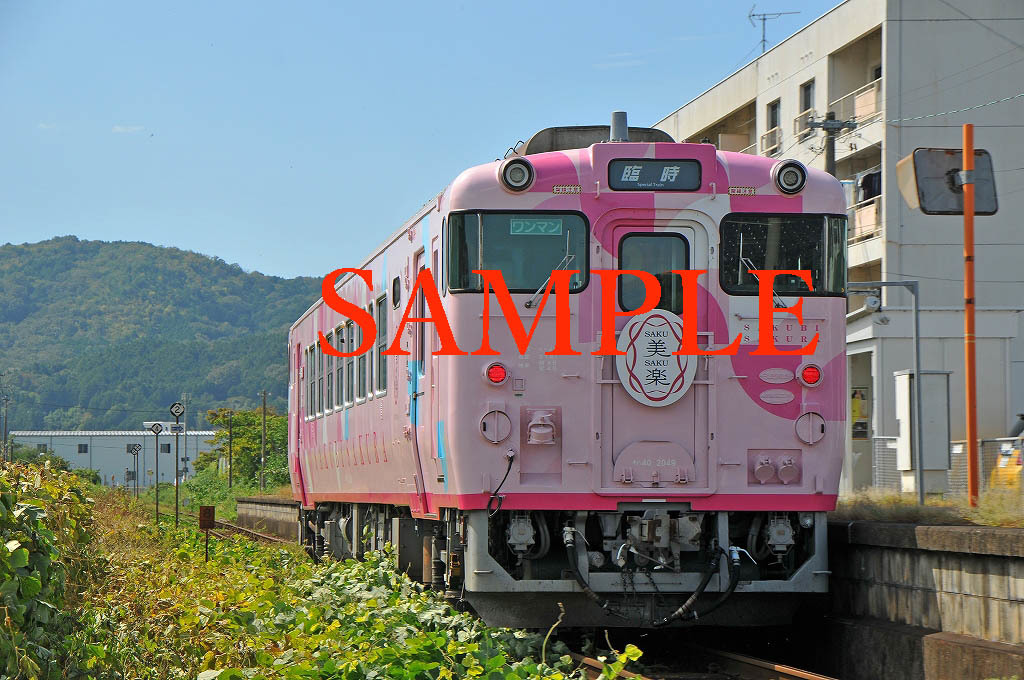 D-３A【鉄道写真】L版６枚　キハ４０　SAKU美SAKU楽　津山線　観光列車_画像3