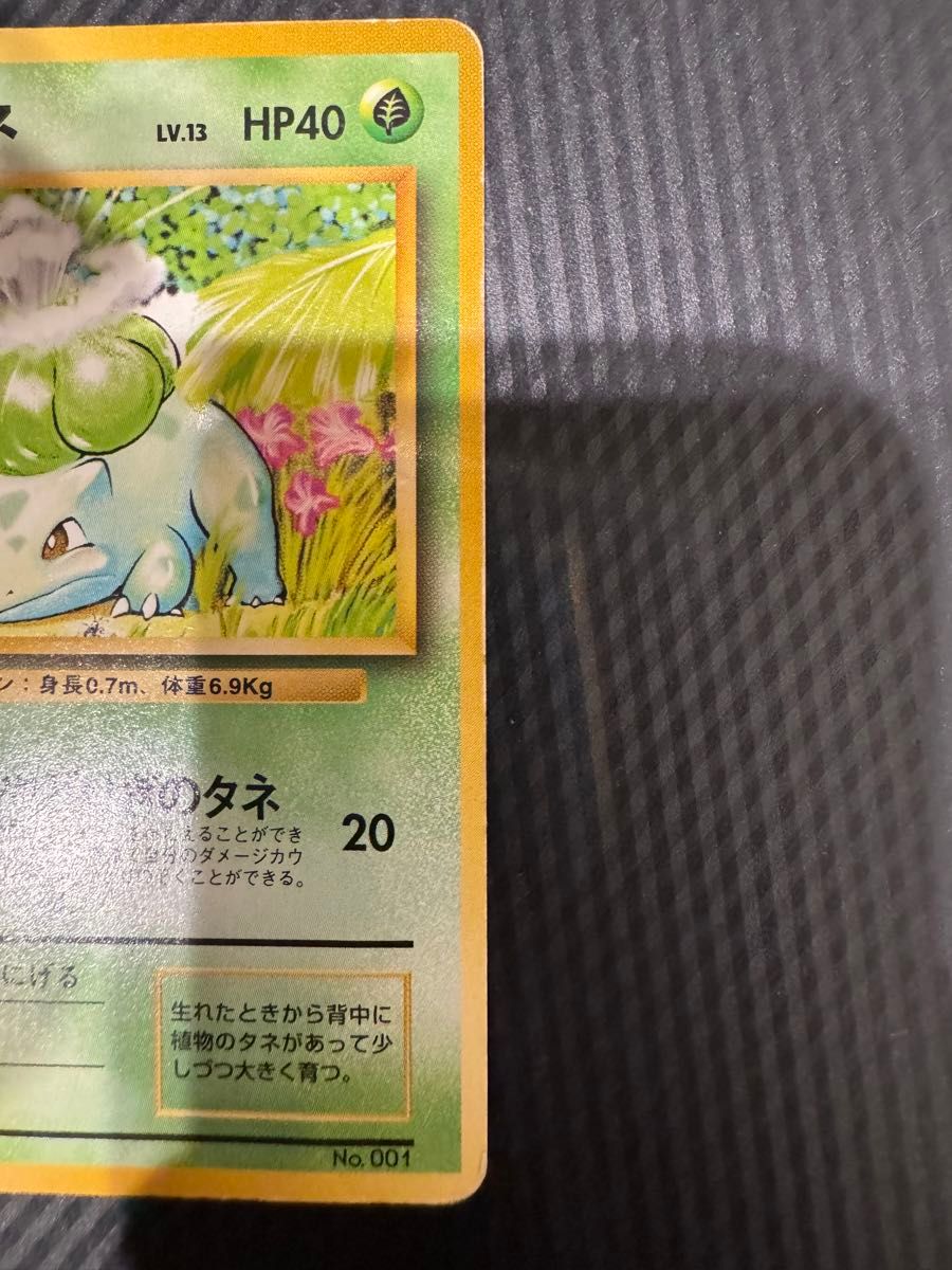 ポケモンカード フシギダネ 旧裏 初版 マークなし|Yahoo!フリマ ポケモンカード フシギダネ 旧裏 初版 マークなし|Yahoo!フリマ