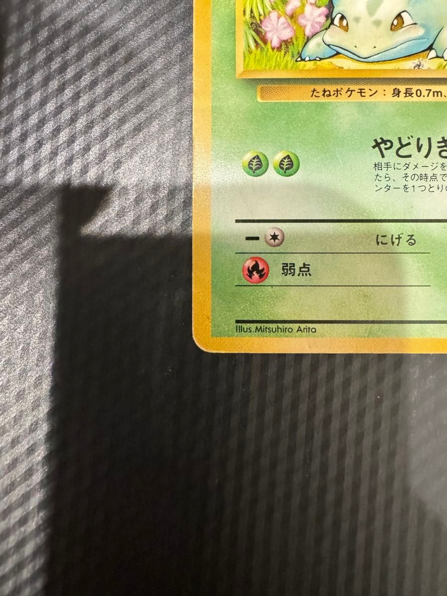 ポケモンカード フシギダネ 旧裏 初版 マークなし|Yahoo!フリマ ポケモンカード フシギダネ 旧裏 初版 マークなし|Yahoo!フリマ