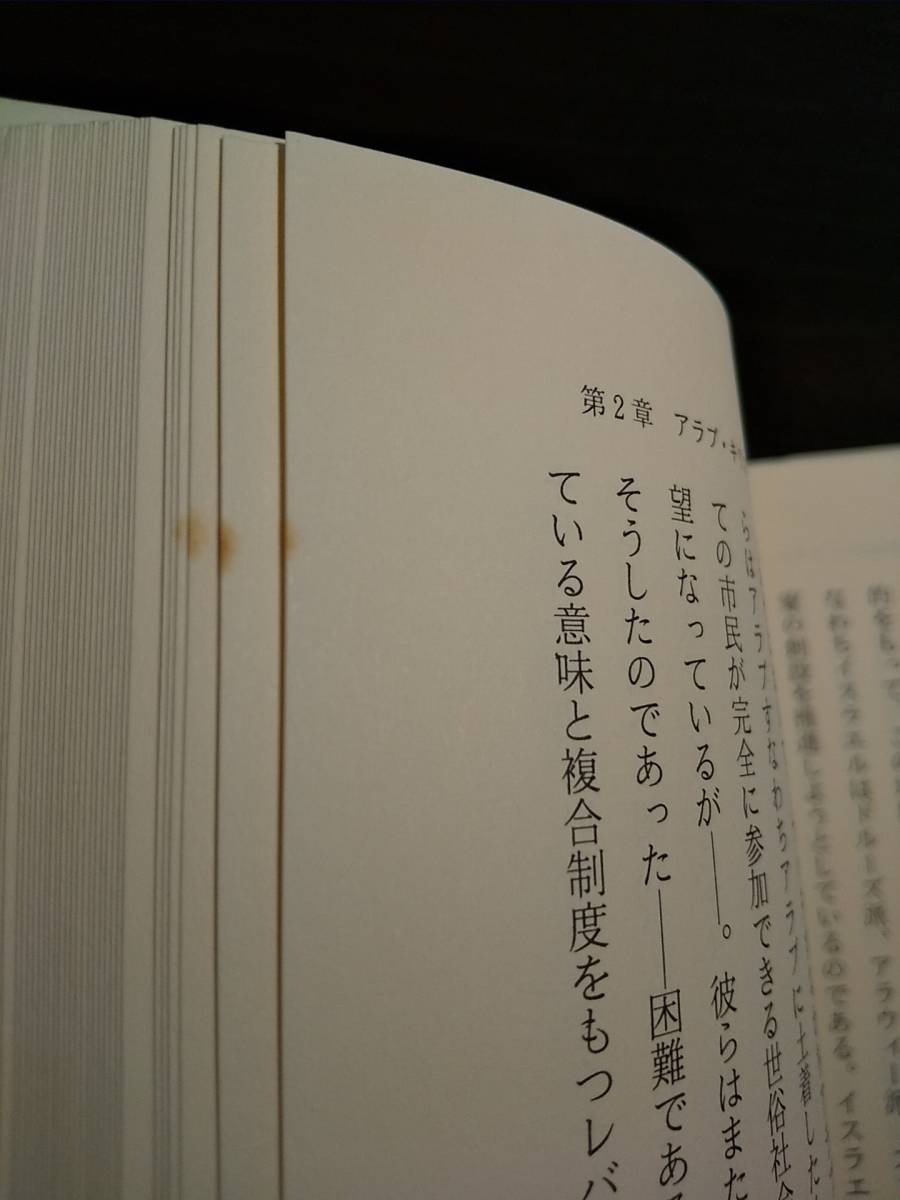 「中東キリスト教の歴史」中東教会協議会、訳＝村山盛忠、小田原緑 ◎検索用：エキュメニカル 東方アッシリア教会 ビザンティン マロン派_画像6