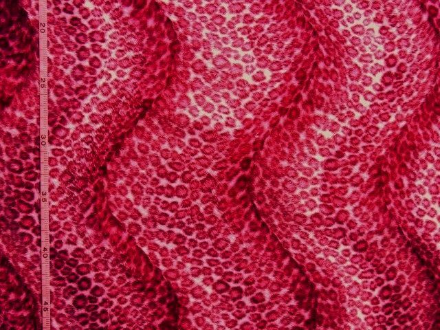 * seal cloth! leopard print ( pink ×...)!155×30*[NE0423-B]