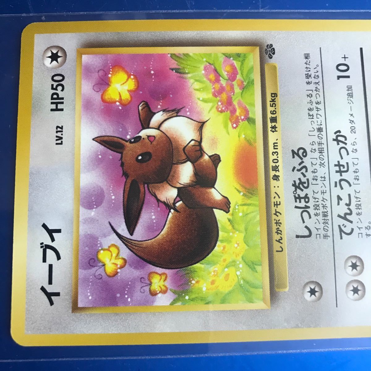 ポケモンカード 旧裏 1996 イーブイ 入手困難 状態良好 初期 ポケモンカード 旧裏 1996 イーブイ 入手困難 状態良好 初期