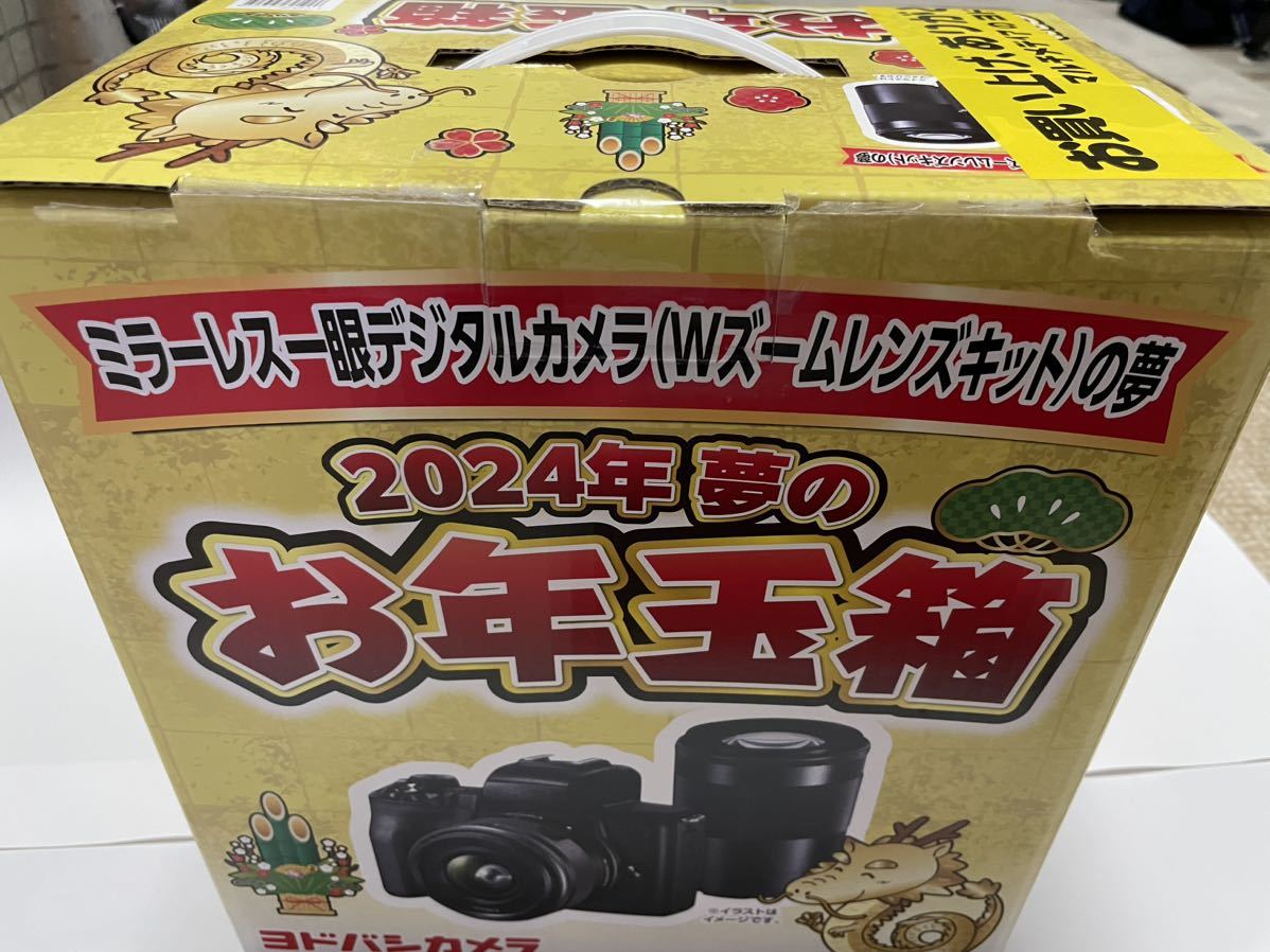 開運ヨドバシ 福袋 ミラーレス 一眼デジタルカメラ Wズーム 開運ヨドバシ 福袋 ミラーレス 一眼デジタルカメラ Wズーム