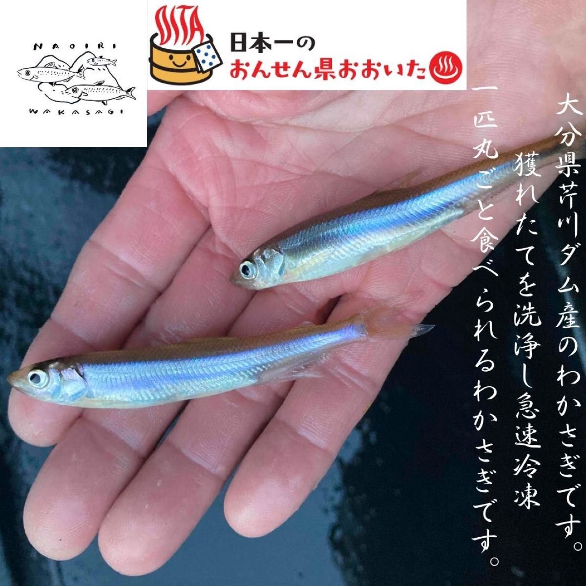 大分県芹川ダムわかさぎ220g