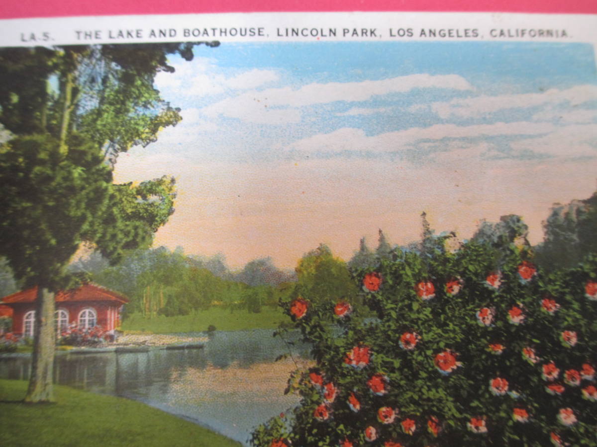 ロスアンゼルス　リンカーンパーク　森とボート　アンティークポストカード 　No1743_画像3