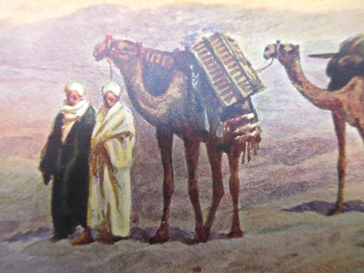 エジプト　砂漠　アンティークポストカード 　No17７５_画像2