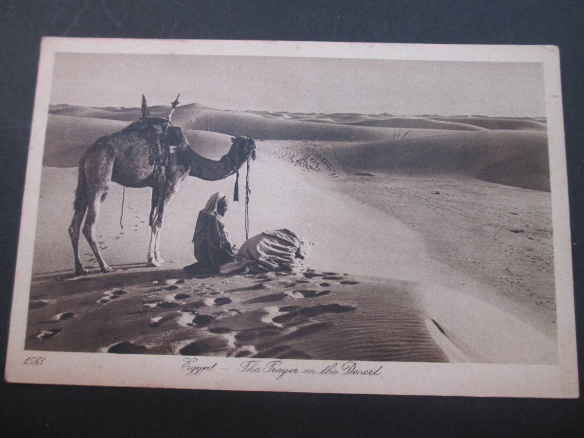 エジプト　砂漠の祈り　アンティークポストカード 　No1774_画像1