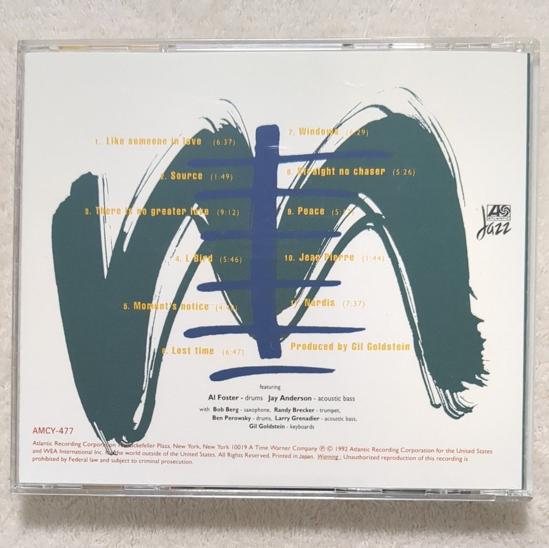 マイク・スターン Mike Stern "Standards" 国内盤CD AMCY-477