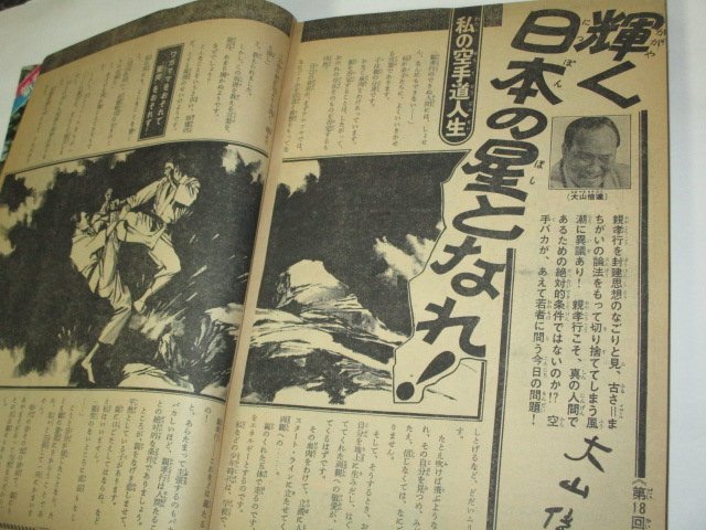 少年マガジン1973 24号 読切幻の大岩魚アカブチ矢口高雄 愛と誠 あしたのジョー6番勝負 松本零士 永井豪 横山光輝 赤塚不二夫 池上遼一 他_画像8