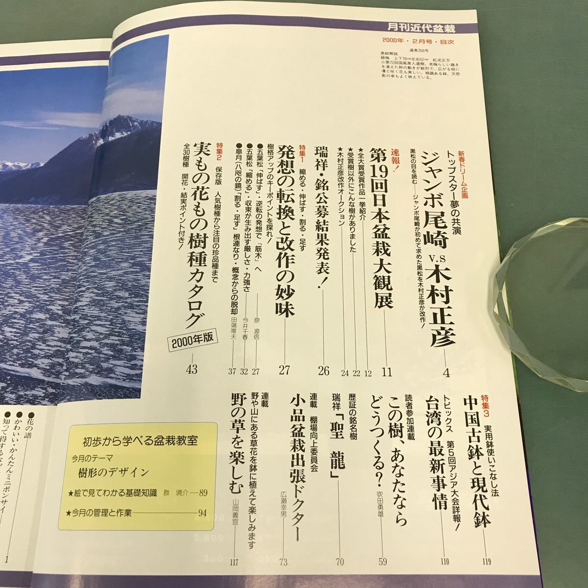 E53-082 盆栽総合誌 月刊 近代盆栽 2000年2月号 速報！大観展 1 発想の転換 2 実物花物カタログ 3 中国古鉢と現代鉢 近代出版_画像4