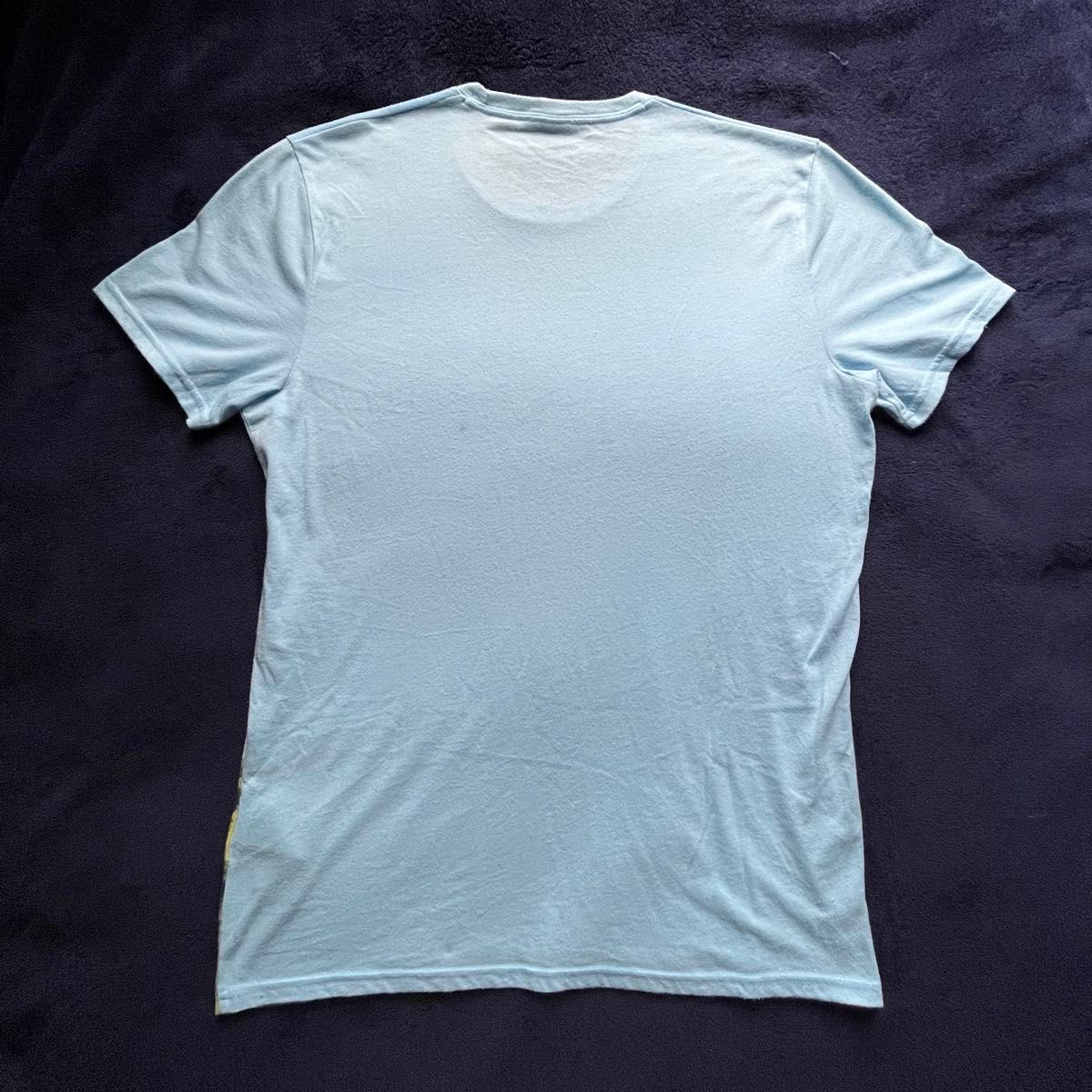 HOLLISTER；【美品】グラフィックTシャツ(半袖) Size M