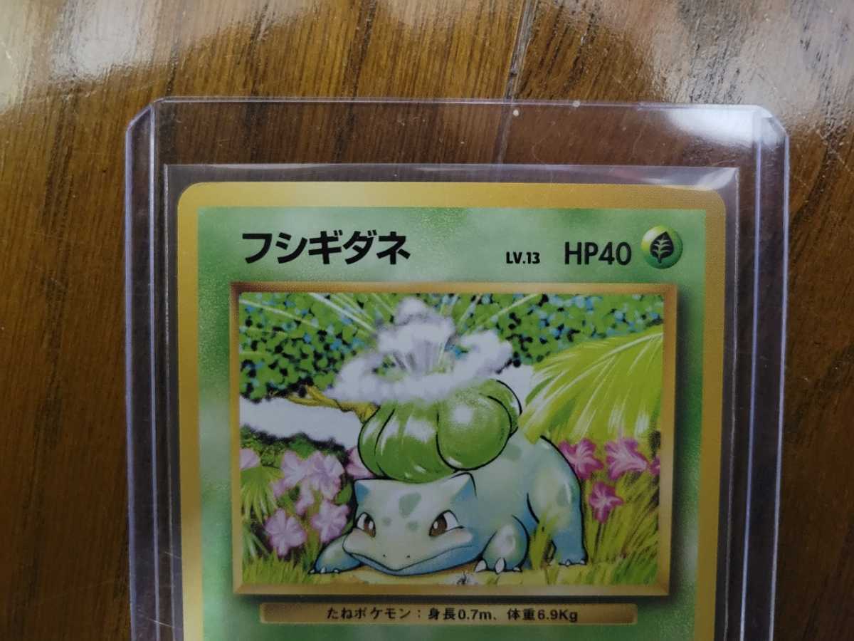 ポケモンカード 旧裏面 旧裏 フシギダネ マークなし_画像4