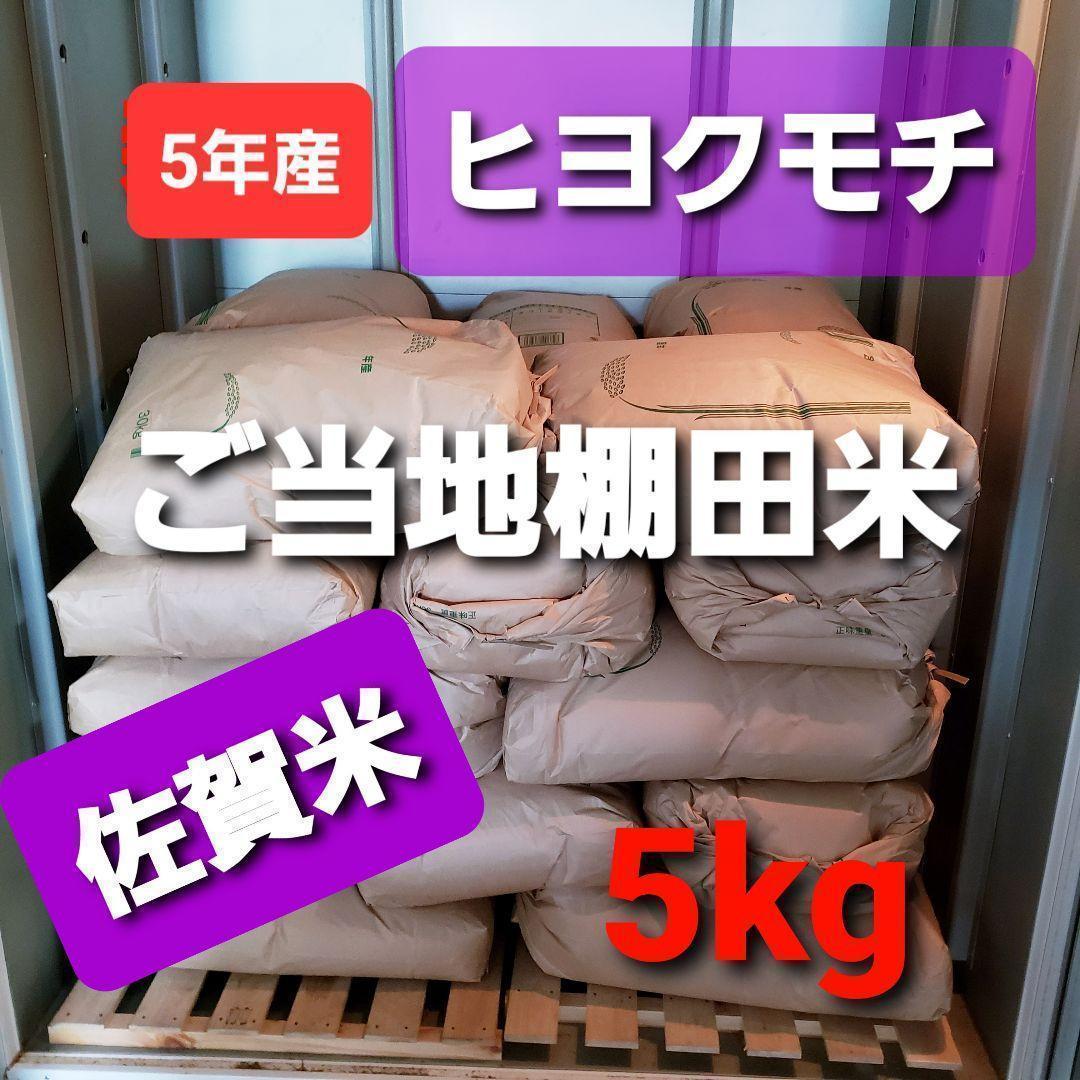 5 кг 5 кг нового риса, выращенного на рисовом рисовом поле
