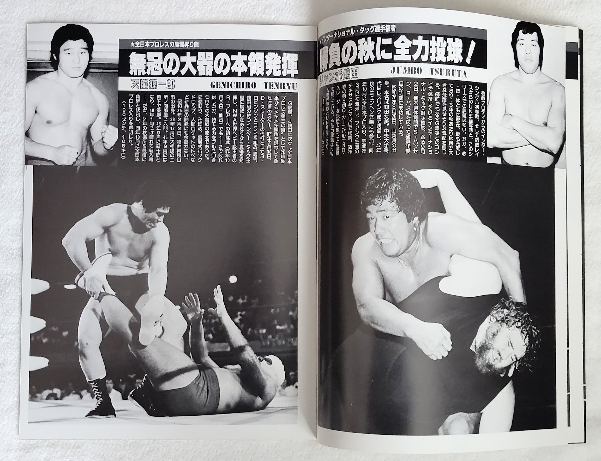全日本プロレス1982年「ジャイアントシリーズ」大阪大会のパンフレット＋おまけ_画像5