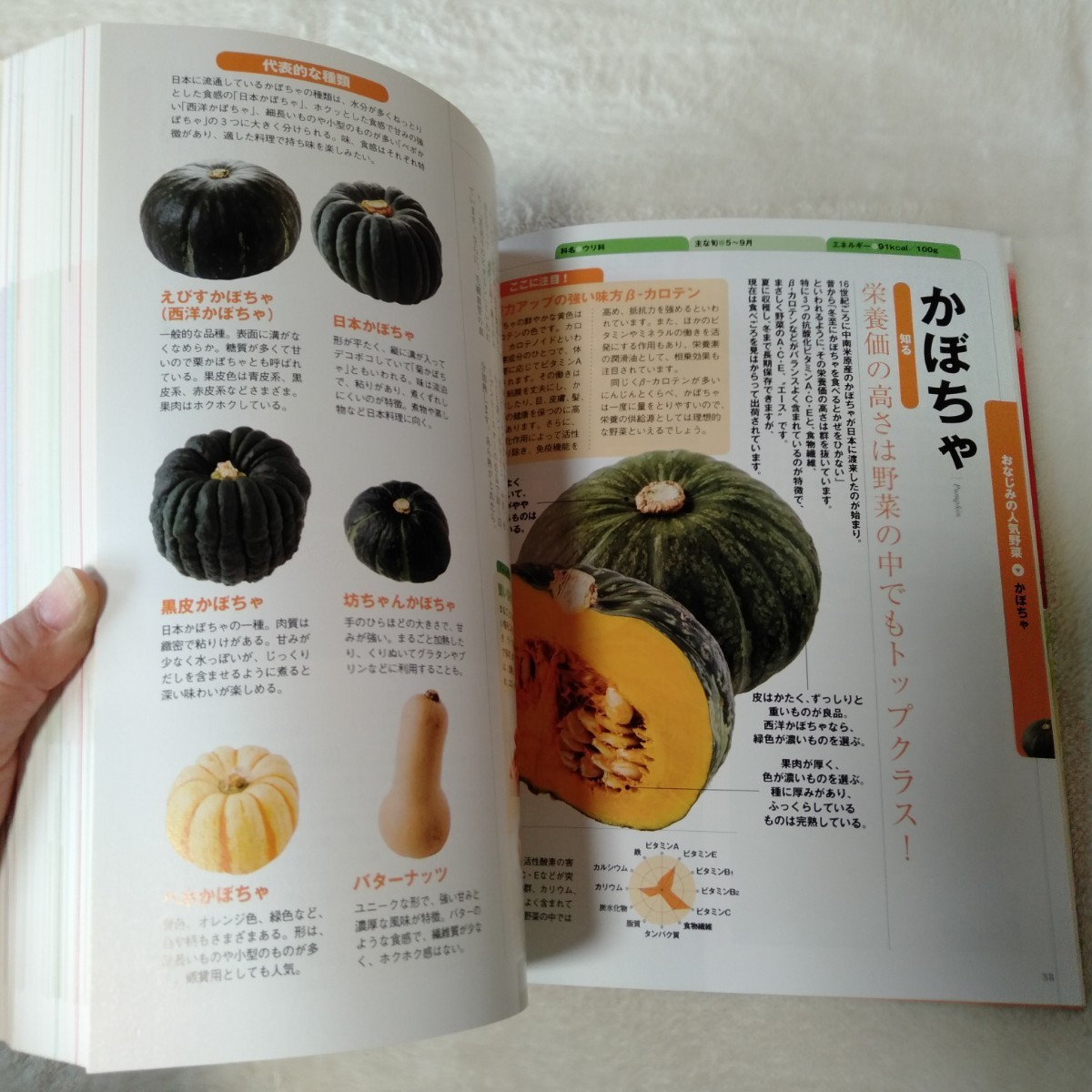 B041 野菜まるごと大図鑑 本 雑誌_画像9