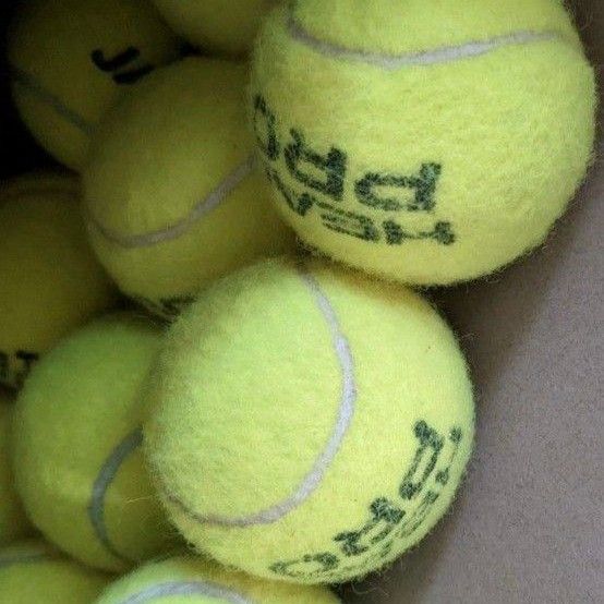 硬式　テニスボール　12個