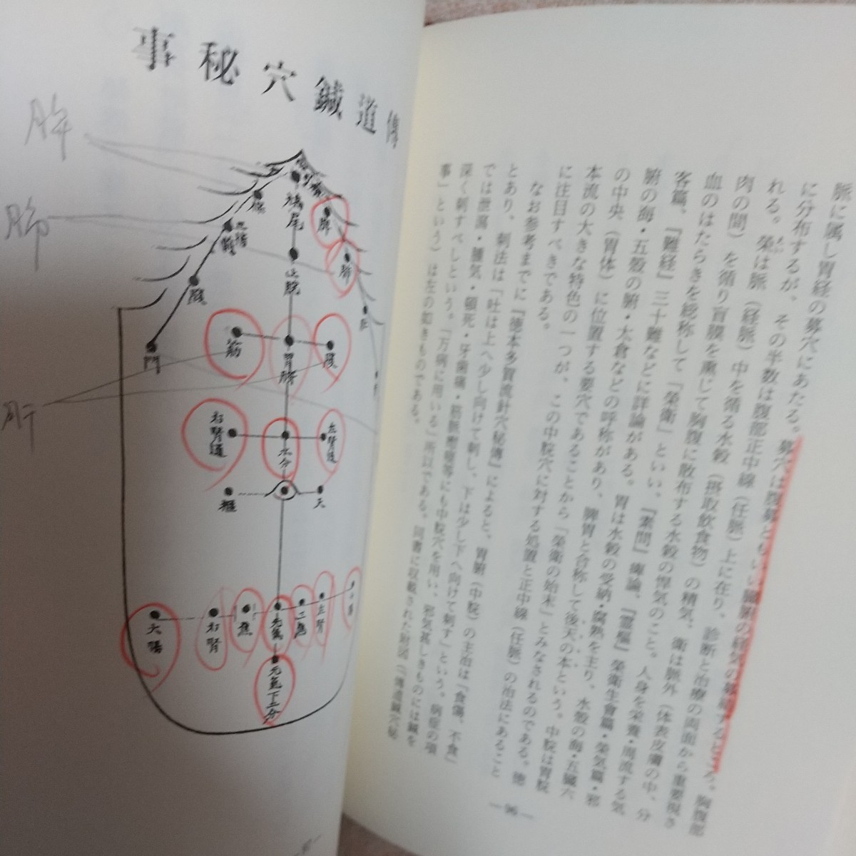 鍼灸極秘抄　谷口書店　東洋医学　　鍼灸　東洋医学　灸　漢方　整体　気功　針灸　鍼_画像8