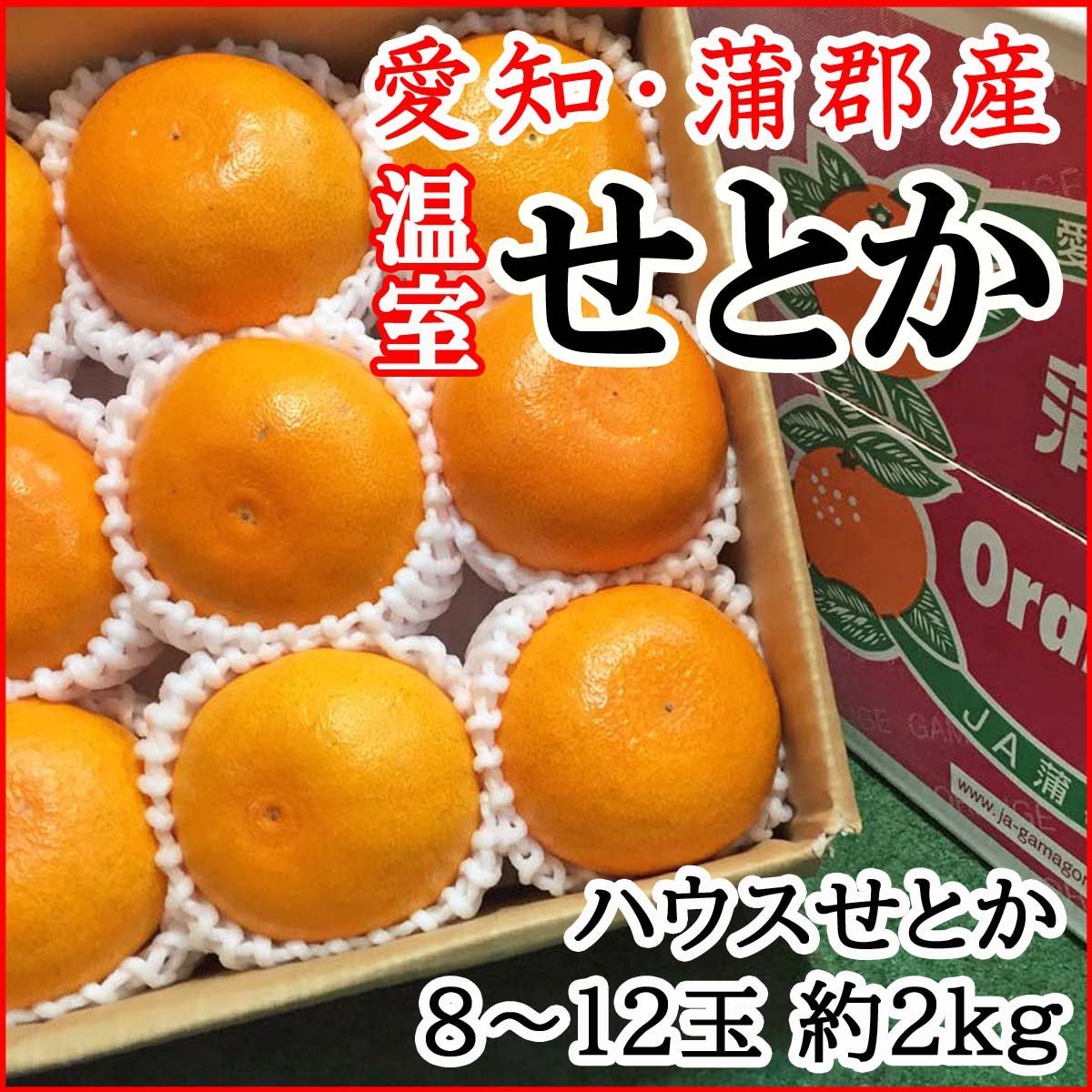 【Good】大量10箱出品中！高級柑橘 ！ハウスせとか 愛知 JA蒲郡産 8～12玉 約2kg_画像1