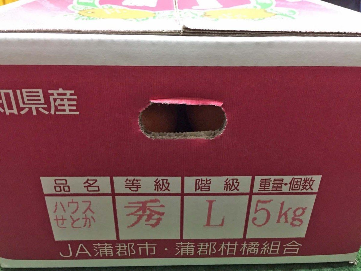 【Good】大量30箱出品中！JA蒲郡産 ハウスせとか 15～20玉 約2kg_画像6