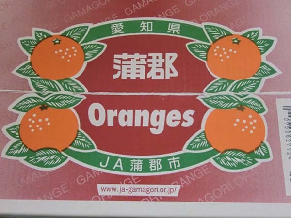 【Good】高級柑橘 ！ハウスせとか 愛知 JA蒲郡産 8～12玉 約2kg_画像4