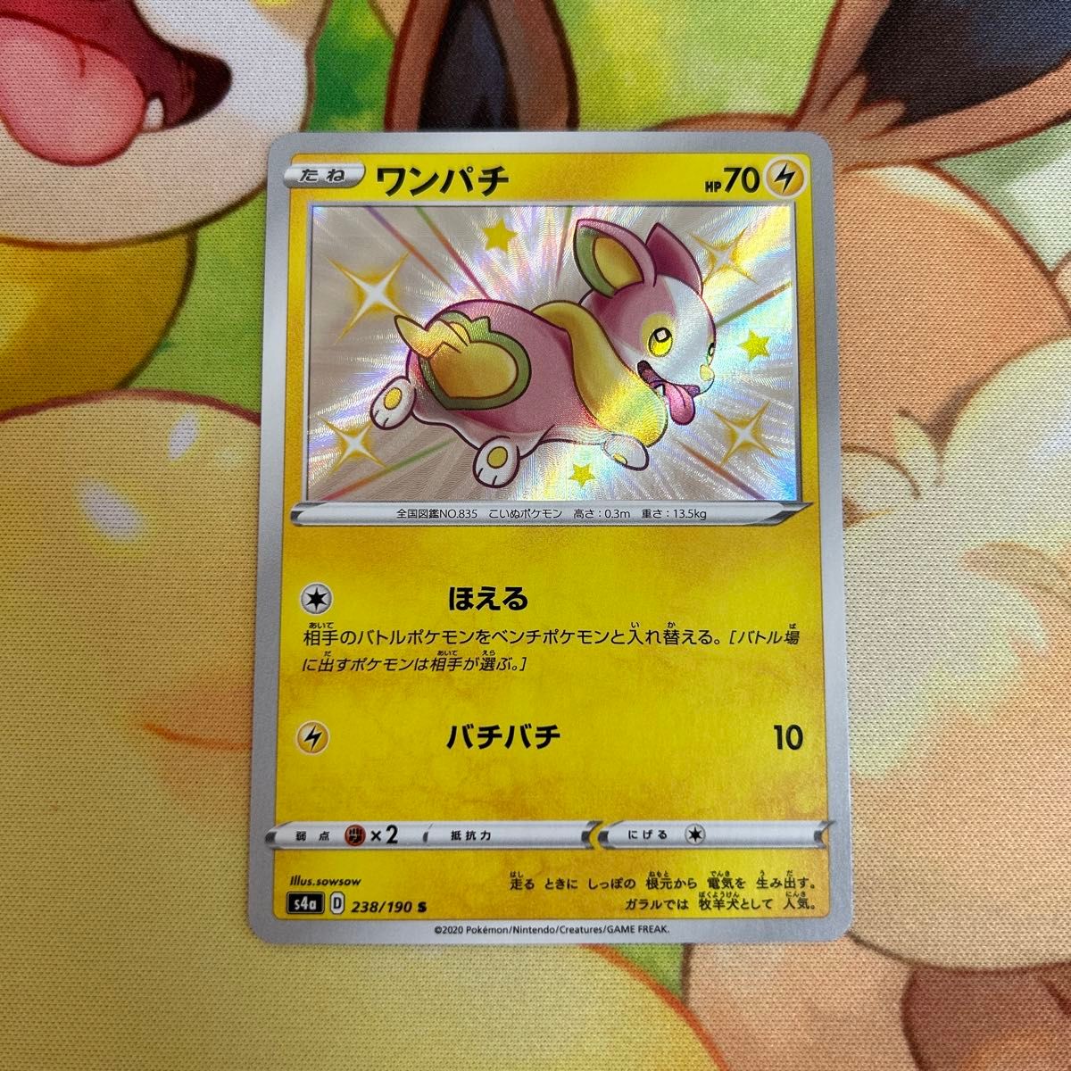 ワンパチ 色違い S ポケモンカード ポケカ|Yahoo!フリマ(旧 ワンパチ 色違い S ポケモンカード ポケカ|Yahoo!フリマ(旧