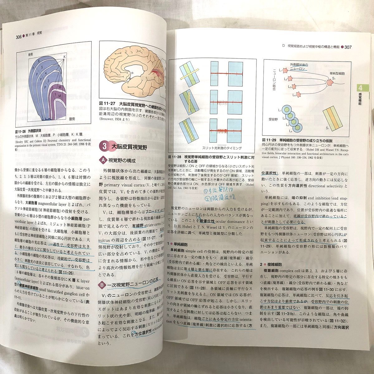 古本●第9版　標準生理学● 医学書院　本間研一　書き込み有_書き込みあります。