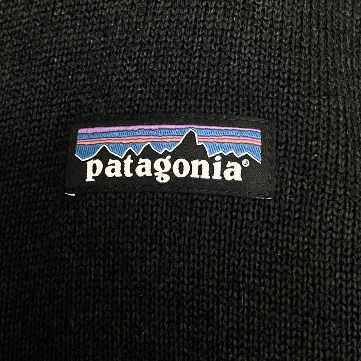 限定コラボ品！ Google パタゴニア　Patagonia ジャケット