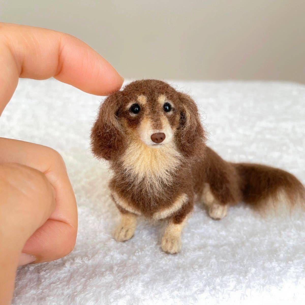 ぴのきち☆6.4cmのチョコタンダックスちゃん☆羊毛フェルト 犬 ぴのきち☆6.4cmのチョコタンダックスちゃん☆羊毛フェルト 犬