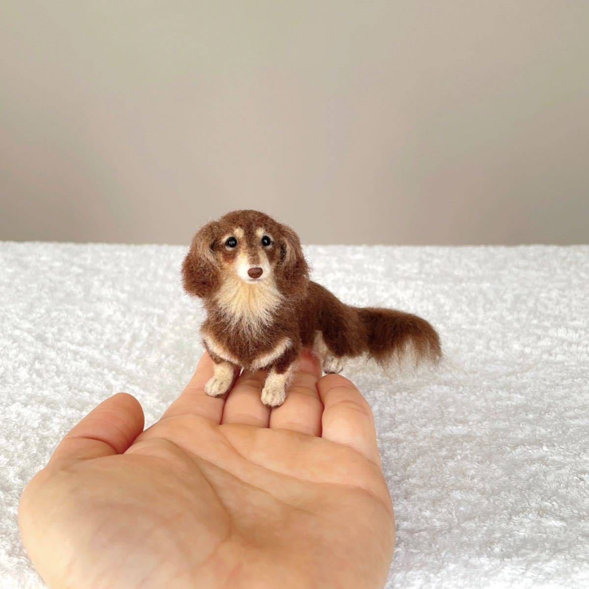 ぴのきち☆6.4cmのチョコタンダックスちゃん☆羊毛フェルト 犬 ぴのきち☆6.4cmのチョコタンダックスちゃん☆羊毛フェルト 犬