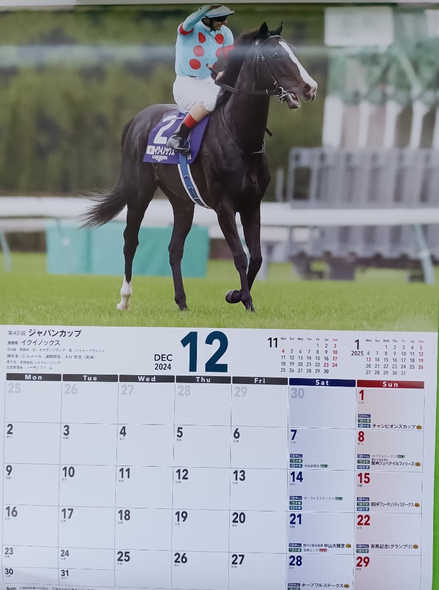 「JRA 2024 カレンダー（クリアファイル2枚付き!）no.1最終出品!!」」_画像9