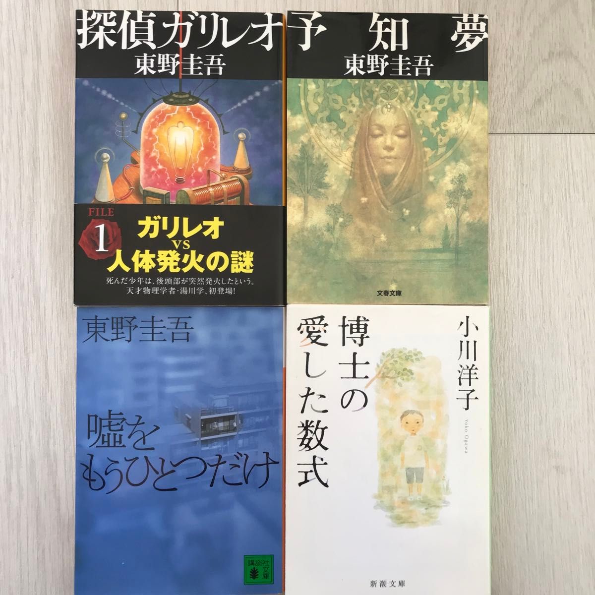 探偵ガリレオ　予知夢　嘘をもうひとつだけ　博士の愛した数式