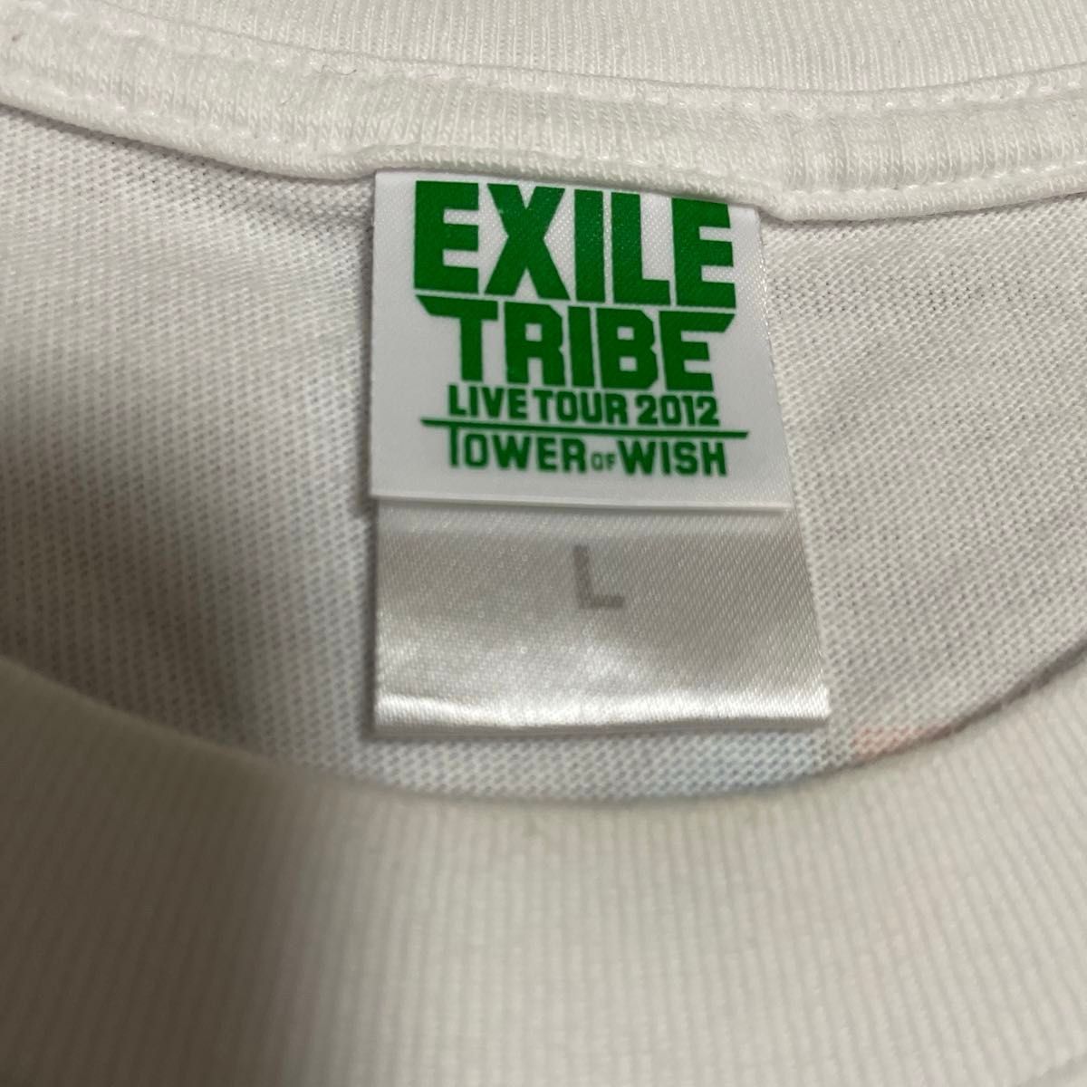 EXILE TRIBE LIVE TOUR 2012～TOWER OF WISH～ ナゴヤドーム限定 会場限定ロゴTシャツ
