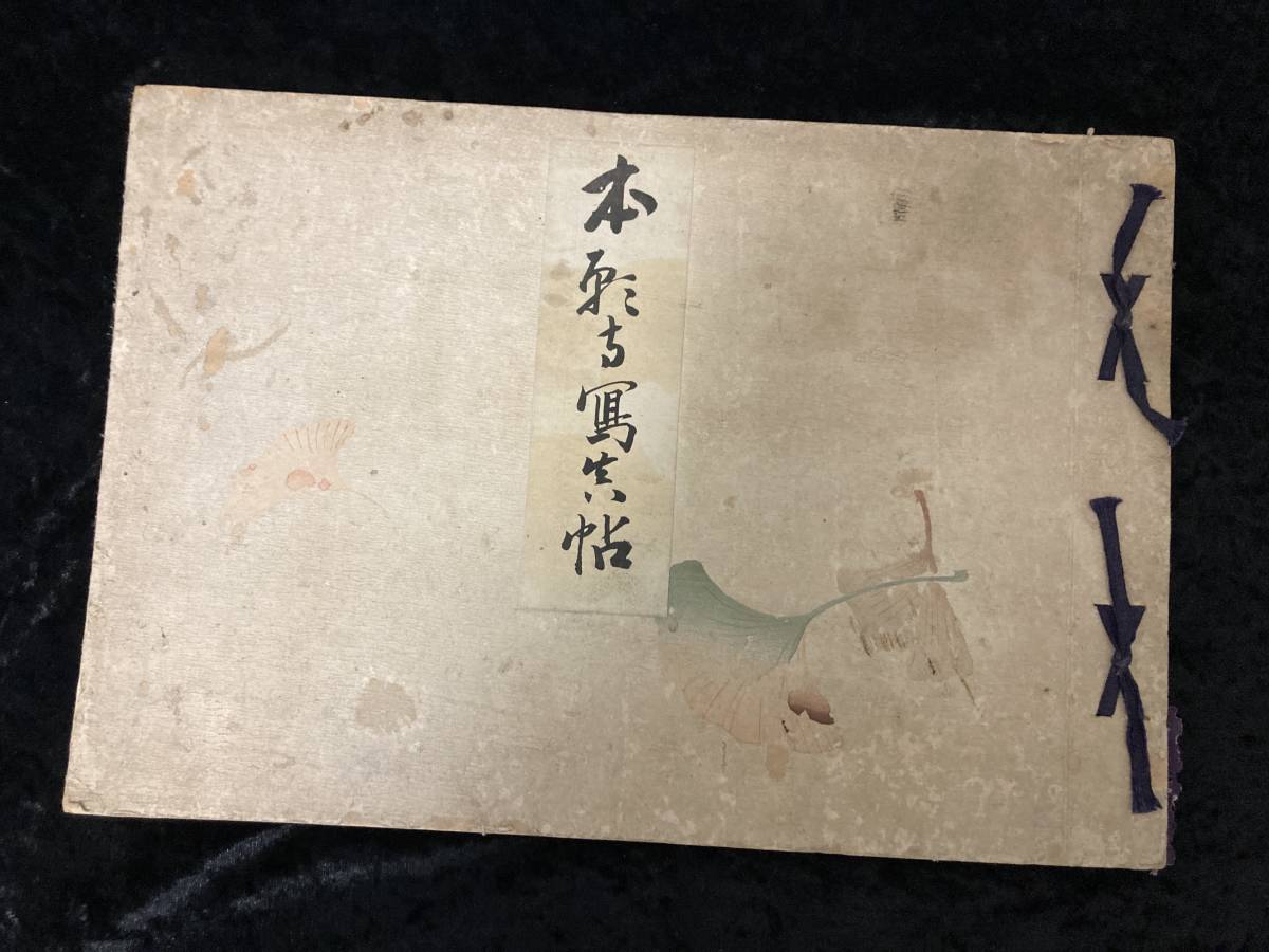 本願寺写真帖 明治43年発行 非売品 大八木大行編 サイズ 28×41cm