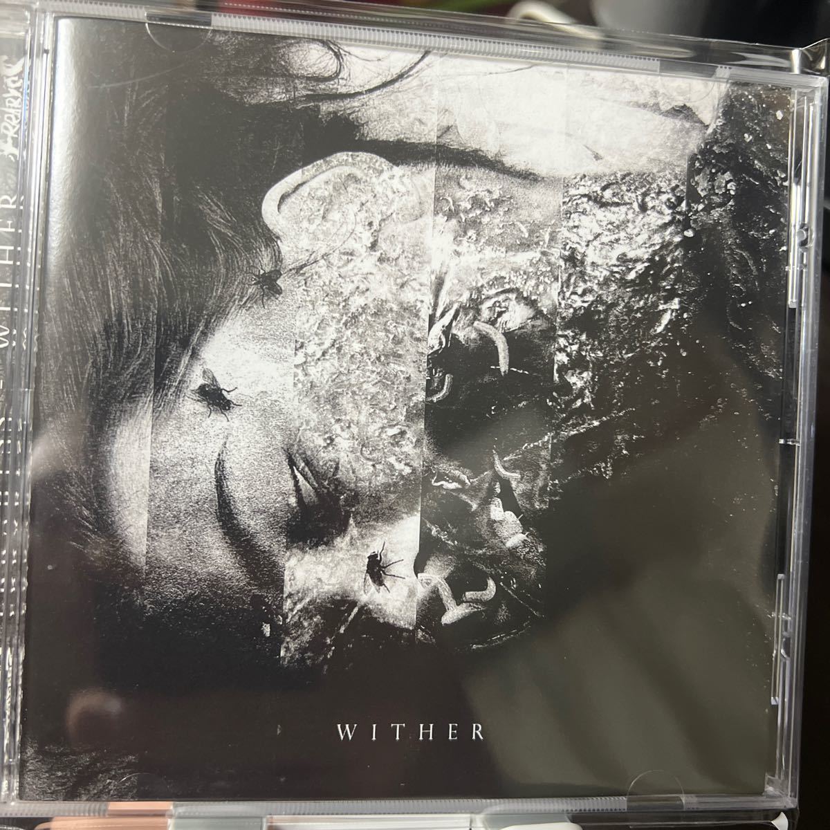 【新品同様】【廃盤激レアCD】Errabyss /Wither【Deathcore】Slaughter To Prevail,Within Destruction,Impending Doom,Dying Fetus,Cabal_画像1