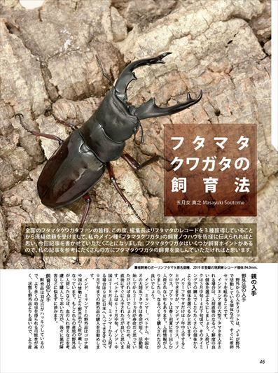 BE-KUWA87号　早い！ネコポス便送料無料 BEKUWA87_画像8