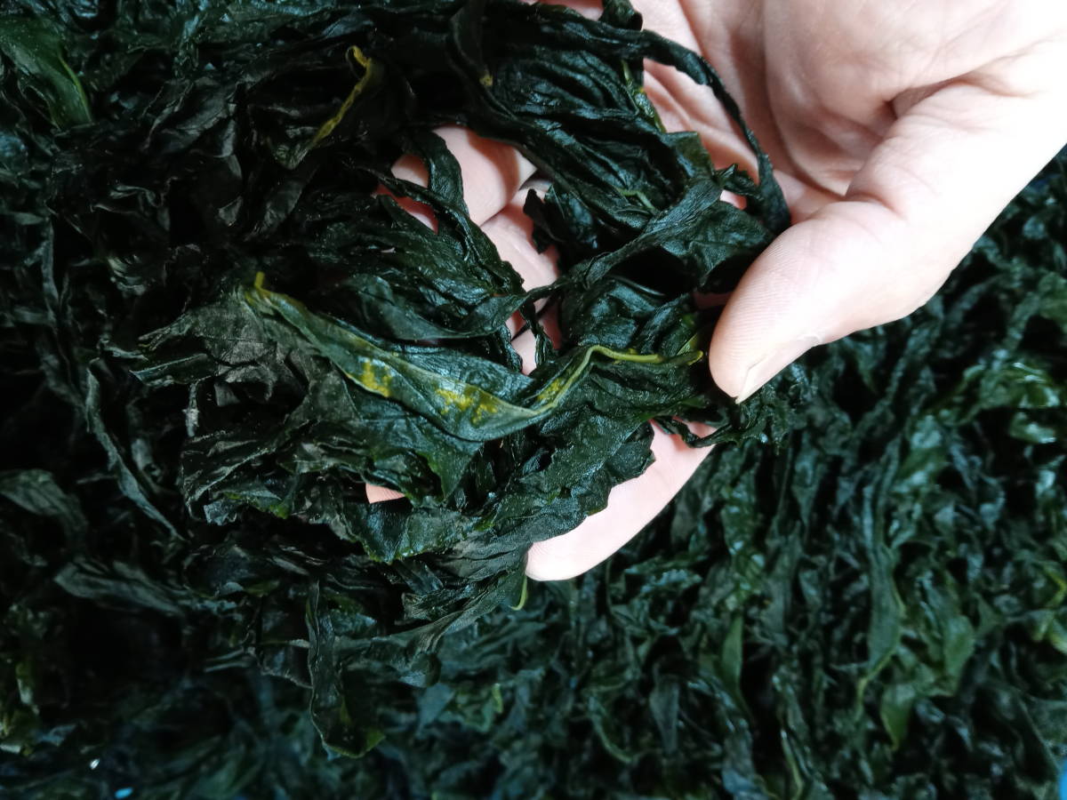 お徳用！三陸産一等外洋塩蔵わかめ【岩手重茂・宮古小成】1ｋｇ_別等級で所々に色の飛んだ部位が混ざります