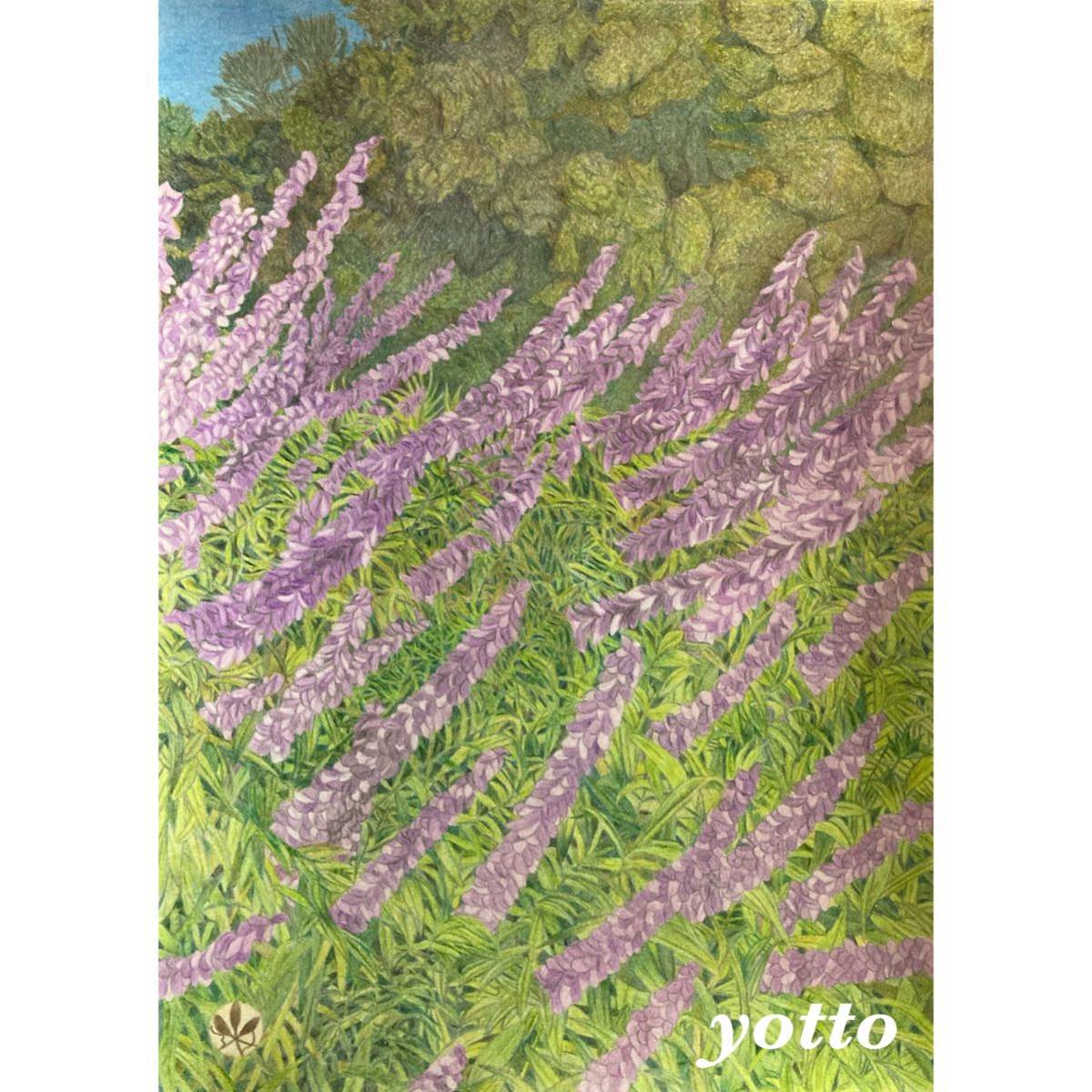  color pencil .[ amethyst sage ]A4* amount attaching ** hand ..* original picture * flower **yotto