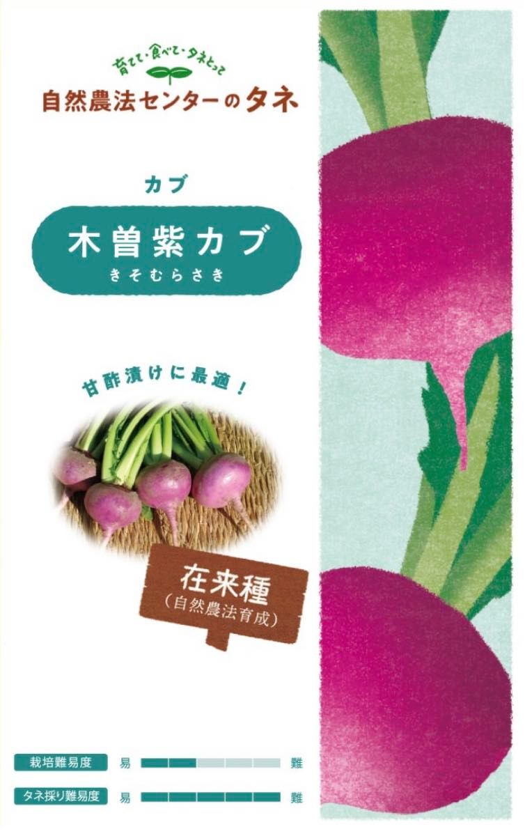 【 木曽紫カブ 】国内育成・採取 家庭菜園 種 タネ カブ 野菜