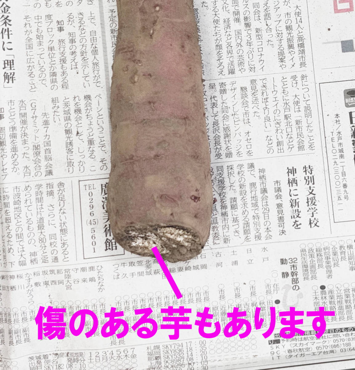 【送料無料】令和5年度収穫　さつまいも　紅はるか　小芋　20kg　茨城県　大学いも　訳アリ　煮物　業務用　弁当　惣菜　焼いも_画像5