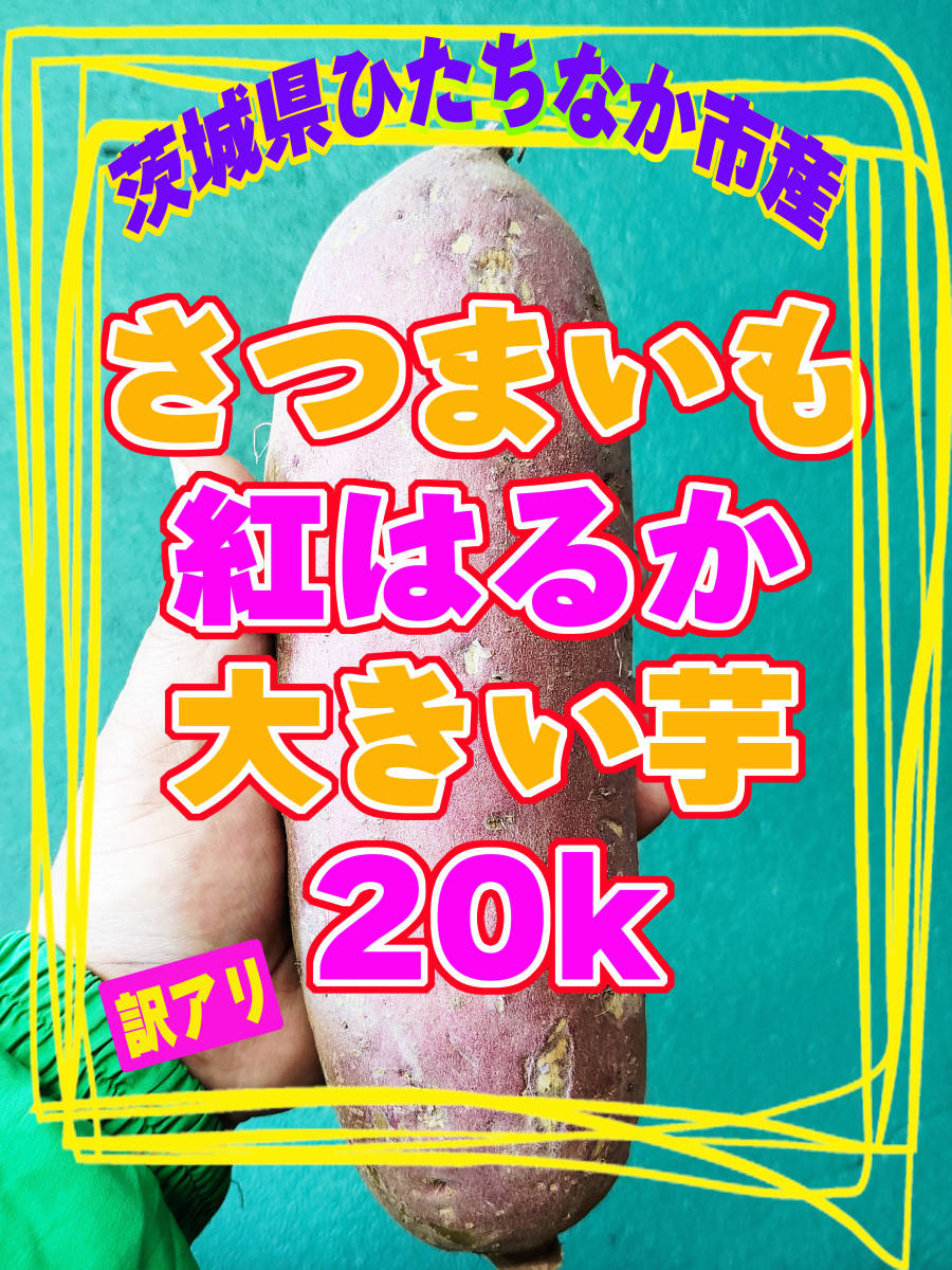 令和5年度収穫　さつまいも【紅はるか】大芋　20kg　玄米袋入り　【洗浄済】天ぷら　焼いも　干しいも　惣菜　弁当　大学いも_画像1