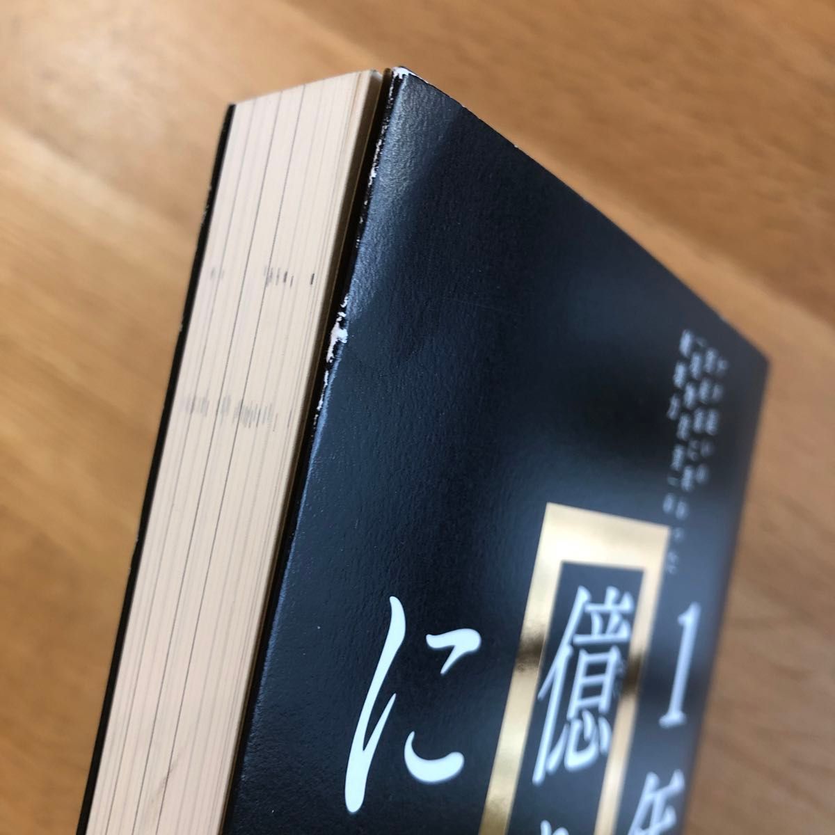 １年で億り人になる　ケタ違いの資産家に教わった「現物投資」の破壊力 戸塚真由子／著