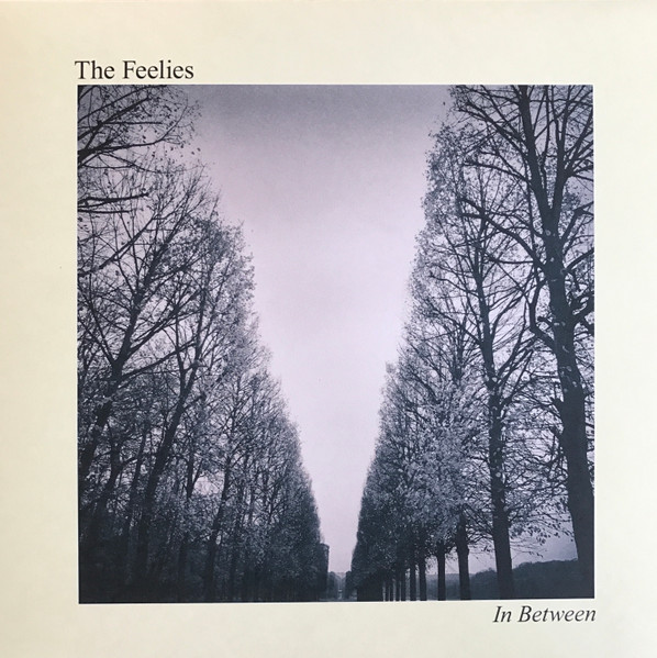 FEELIES / In Between LP Vinyl record (アナログ盤・レコード)_画像1