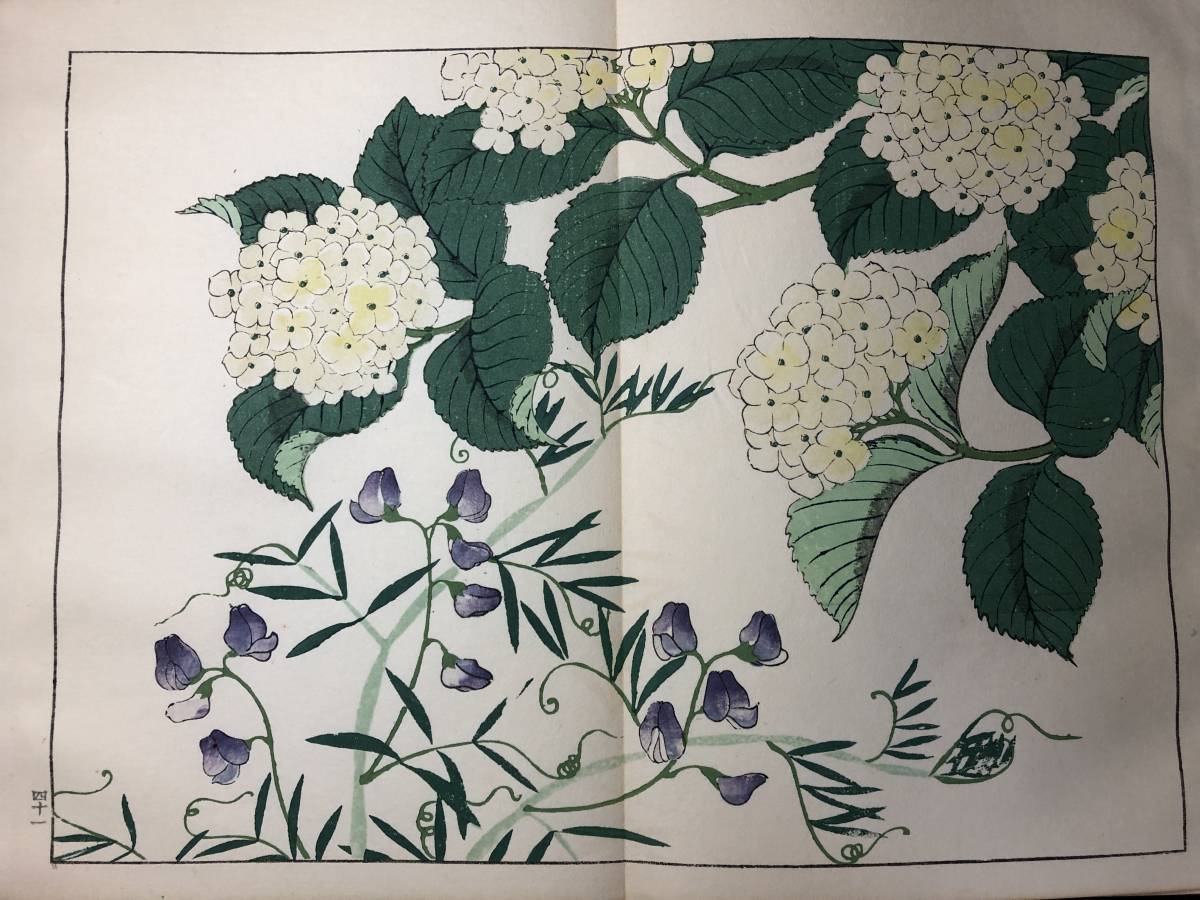 早割ex 比比昂 Bibian - 酒井抱 2□四季の花□春2/28図 2563彩色木版画 和書