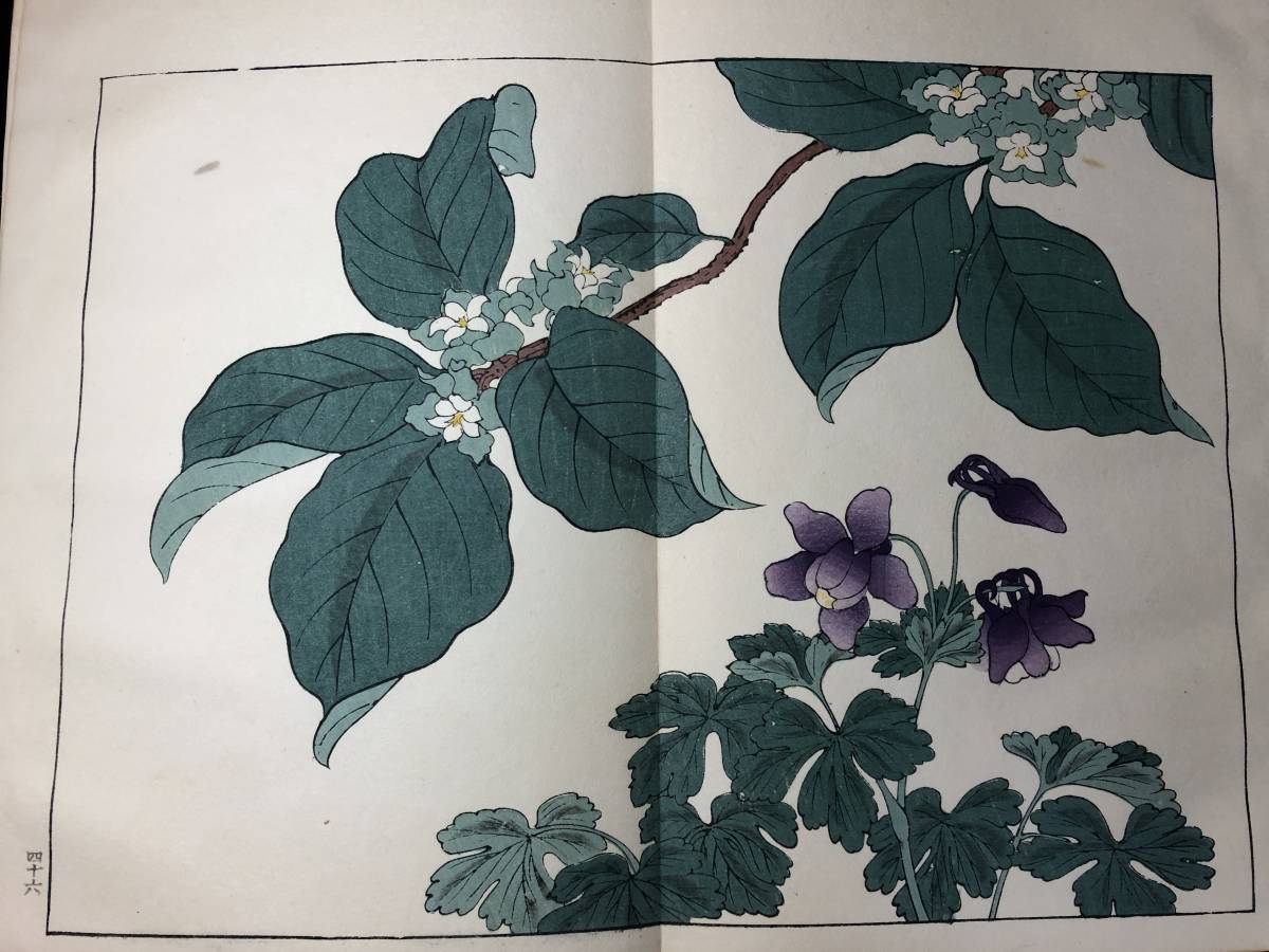 人気ブランド 比比昂 Bibian - 酒井抱 2□四季の花□春2/28図 2563彩色木版画 和書