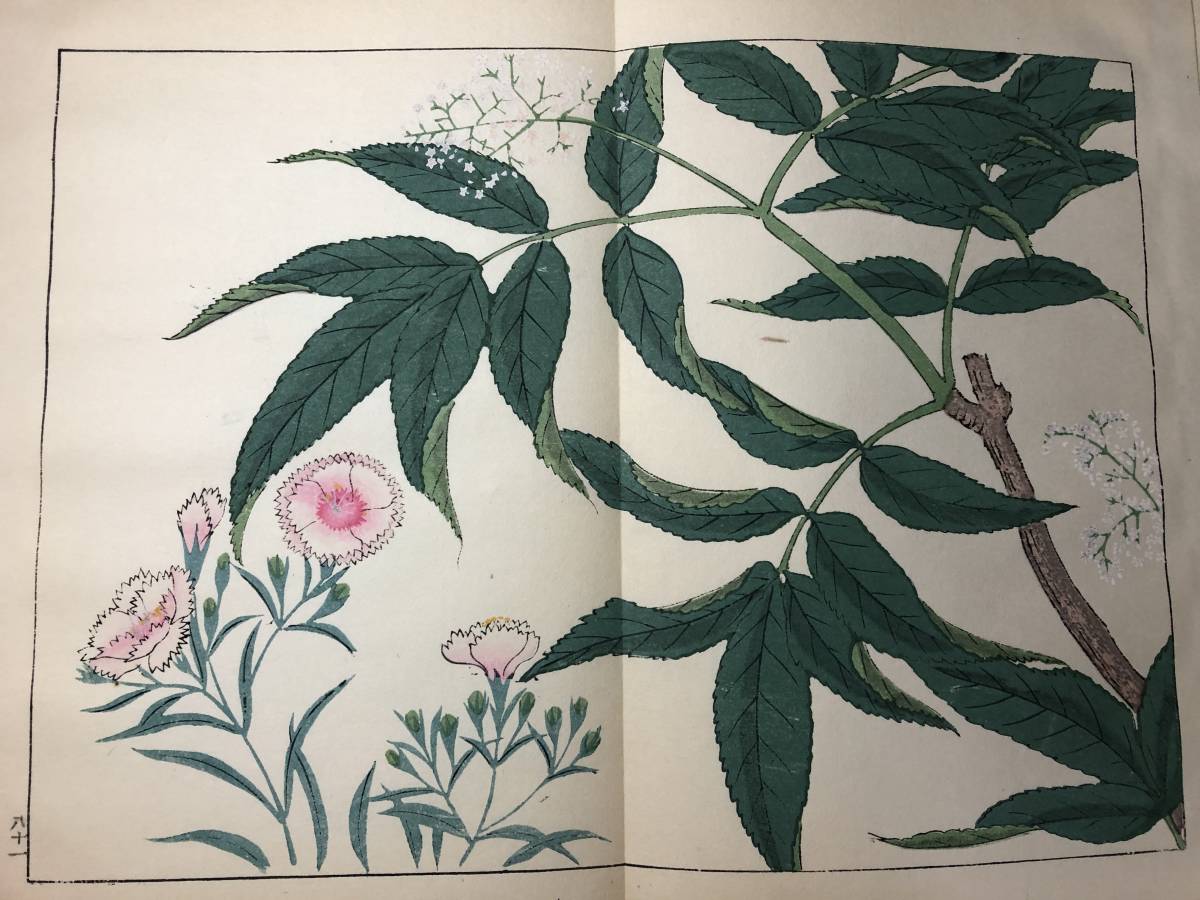 高い信頼 厚い信頼 2565彩色木版画 酒井抱 4□四季の花□夏4/22図 和書