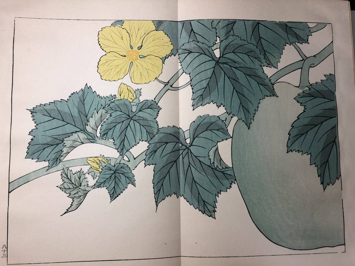 2565彩色木版画 4■四季の花■夏4/22図 酒井抱一ほか 芸艸堂 木版 版画 草花 画譜 図譜 絵入 絵本 和本浮世絵ukiyoe古書古文書骨董古美術