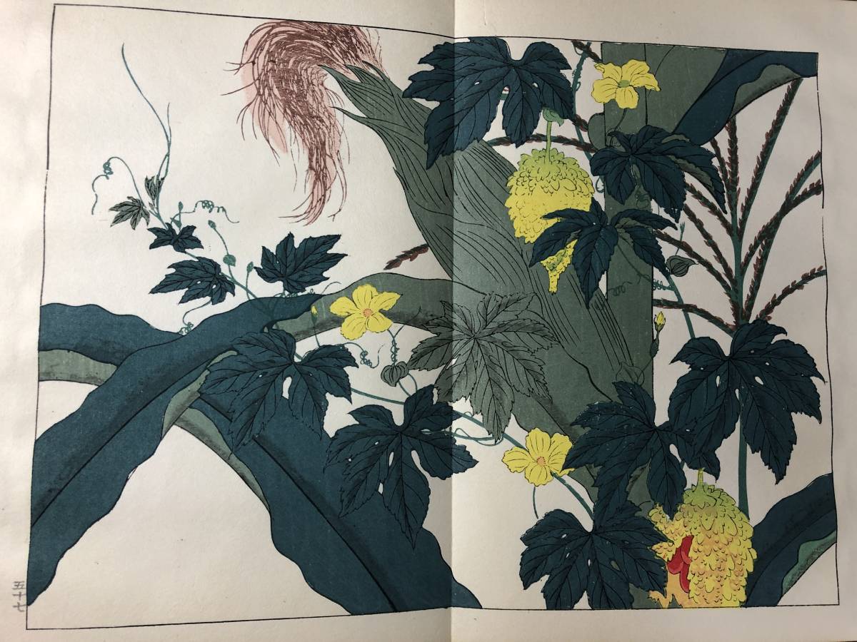 最新な 2568彩色木版画 7□四季の花□秋3/23図 酒井抱一ほか 芸艸堂 和書